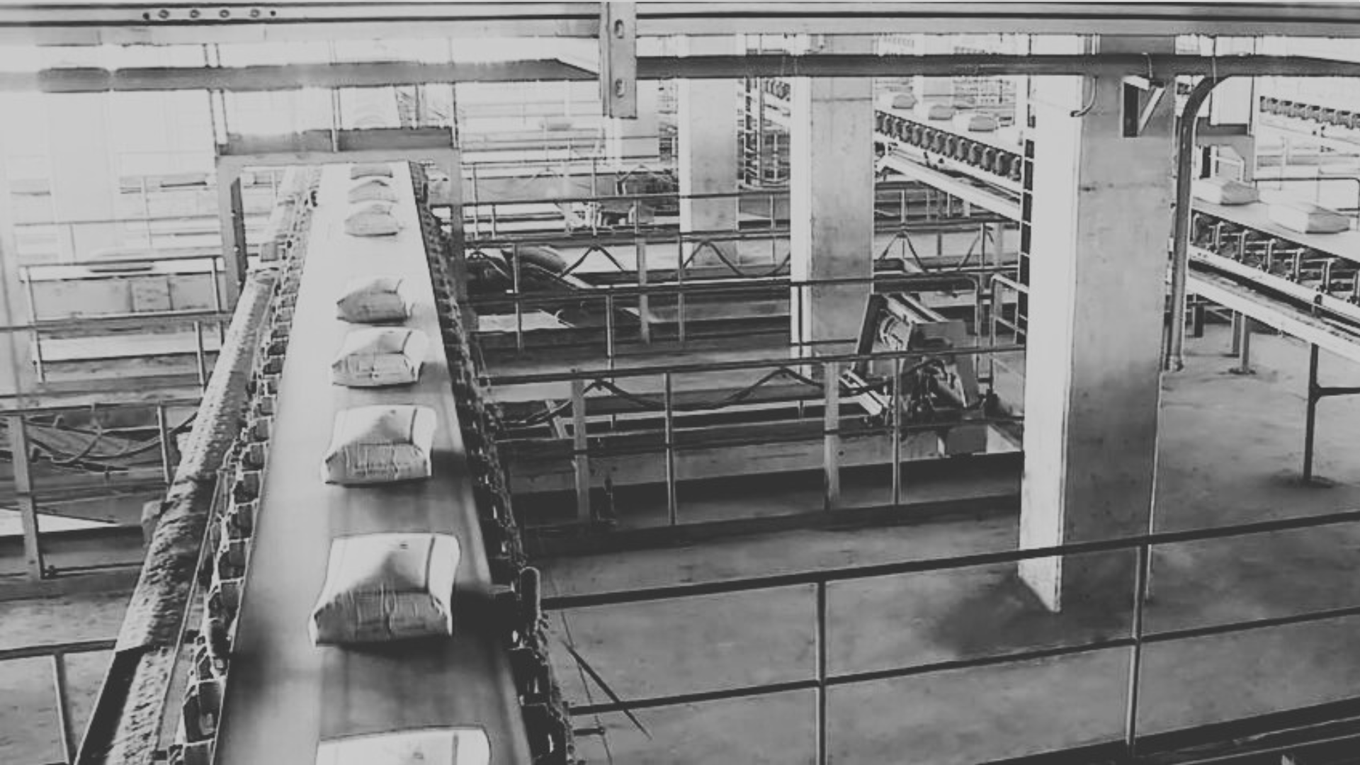 Industrial conveyor belt and cement production